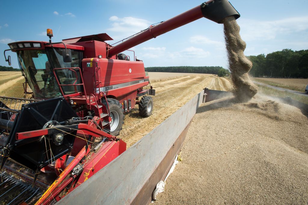 strategie grains, produkcja pszenicy, zapasy początkowe