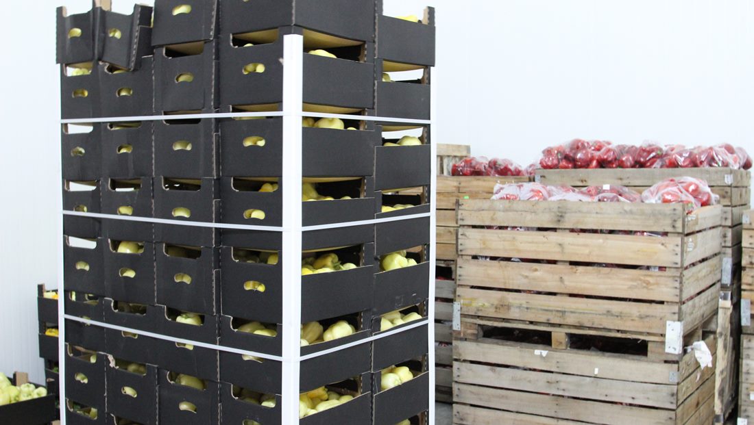 biologiczne środki ochrony roślin, matryca VAT, BioForum, stymulatory wzrostu