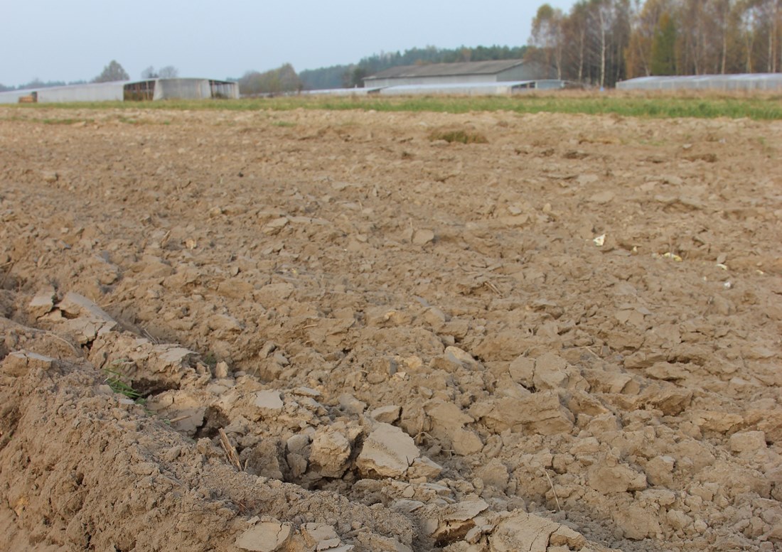 nawożenie, NIK, raport, gleba, uprawa, badanie gleby