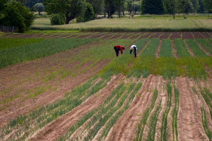 ochrona gruntów rolnych, sprzedaż ziemi, sejm