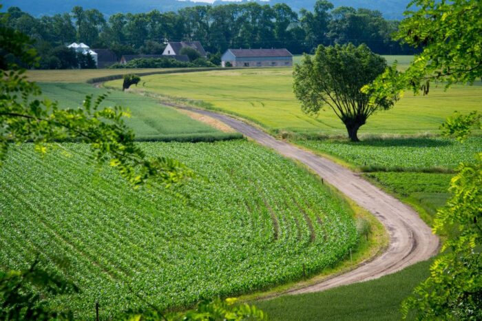 ustawa o ochronie gruntów, odrolnienie działek, andrzej duda