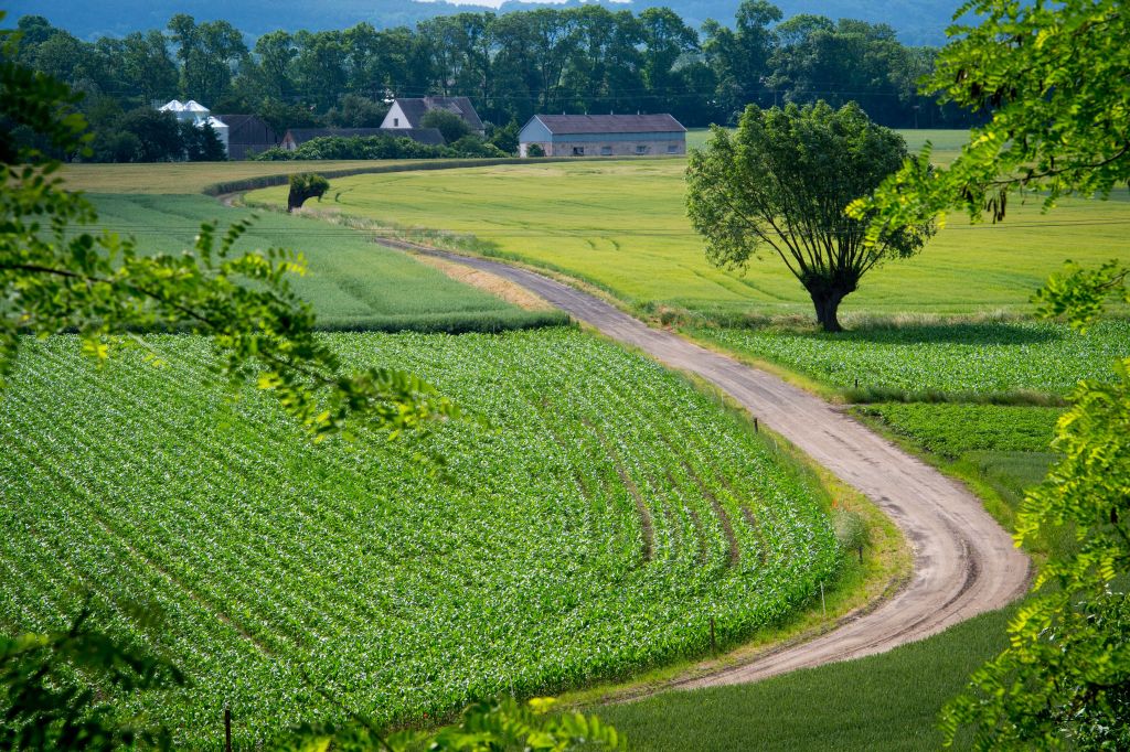ustawa o ochronie gruntów, odrolnienie działek, andrzej duda