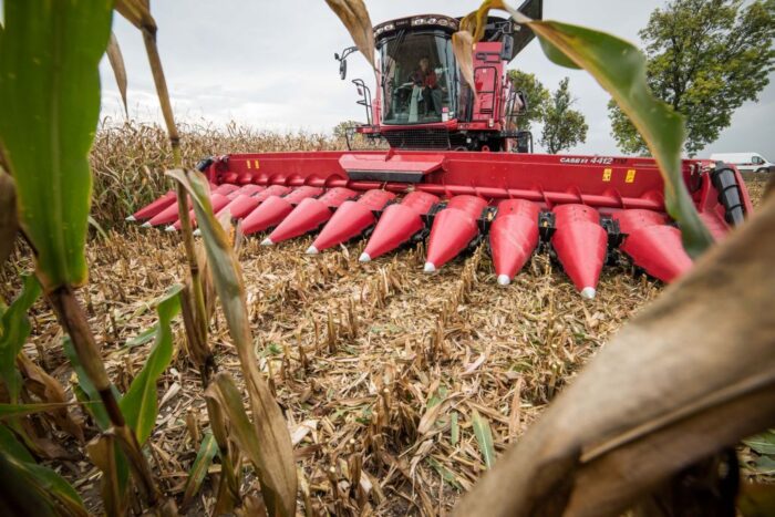 pomoc dla producentów pszenicy i kukurydzy, wojna w Ukranie, Henryk Kowalczyk, handel ziarnem