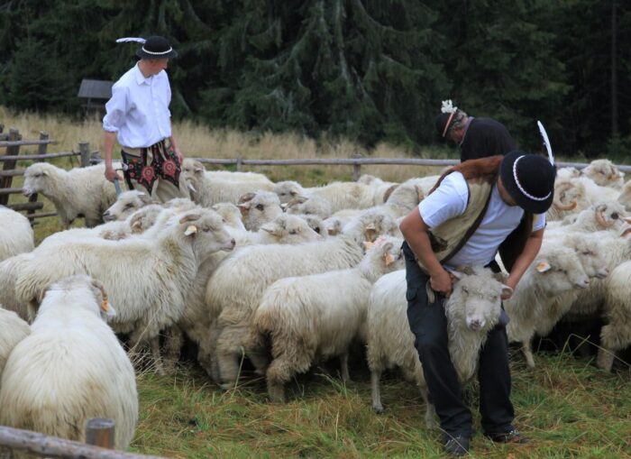 agro-park, lublin, targi rolnicze