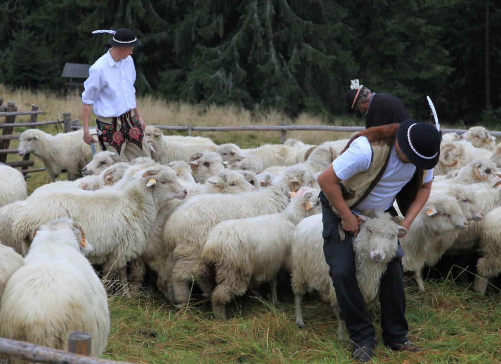 agro-park, lublin, targi rolnicze