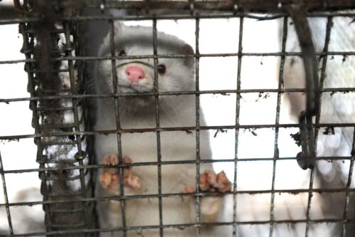 agro-park, lublin, targi rolnicze