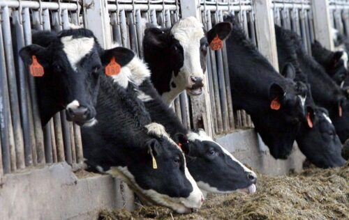 agro-park, lublin, targi rolnicze