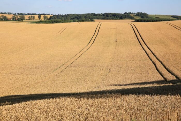agro-park, lublin, targi rolnicze