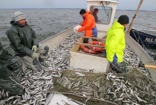 agro-park, lublin, targi rolnicze