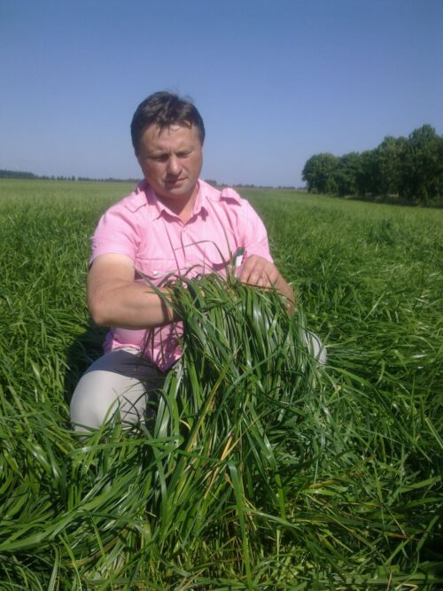 Nawożenie Trwałych Użytków Zielonych