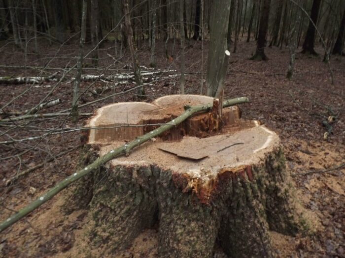 upadki przedmiotów, KRUS, wypadki w rolnictwie, przygniecenie przez maszyny