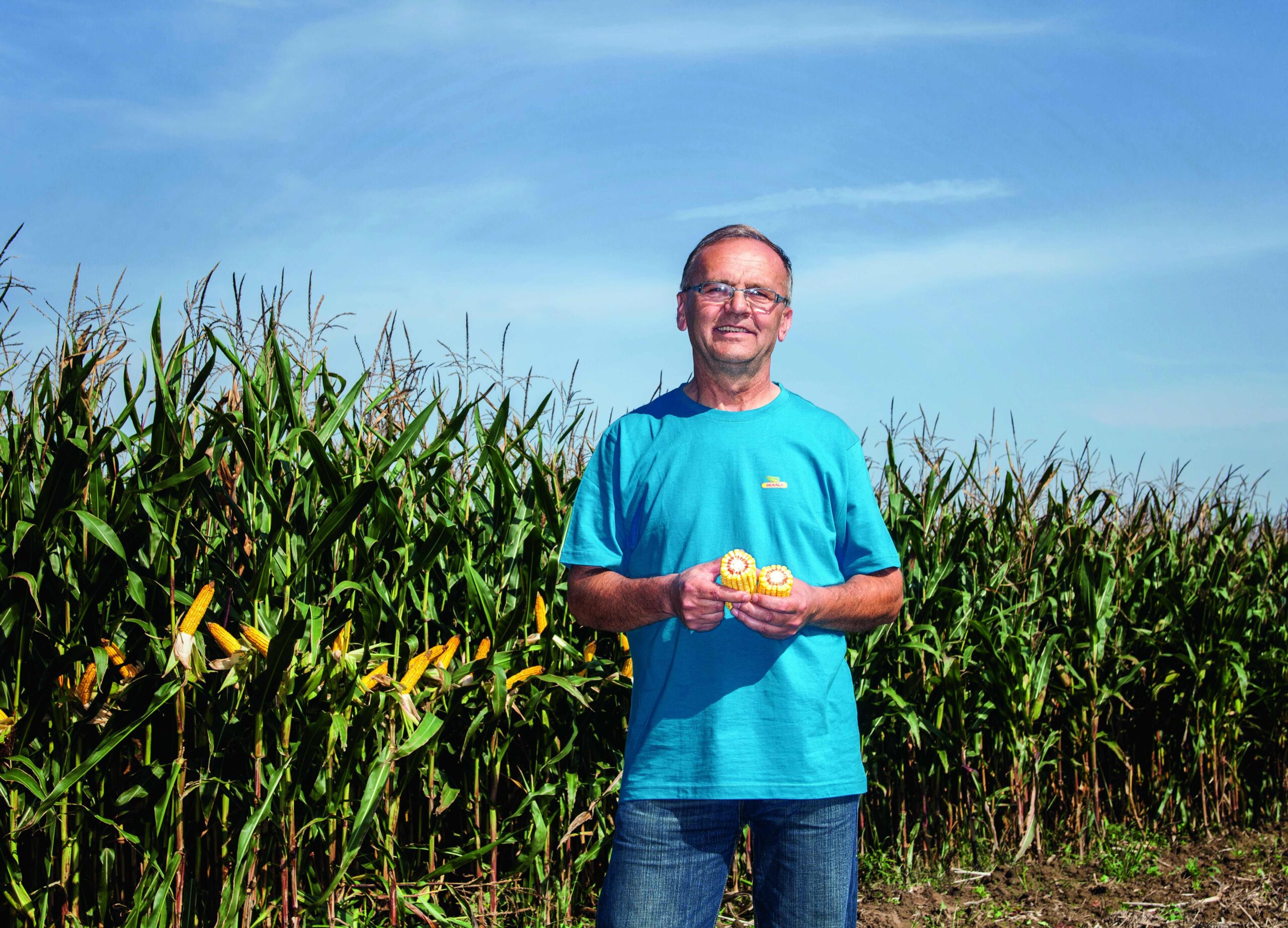 Czy uprawa kukurydzy może być opłacalna?