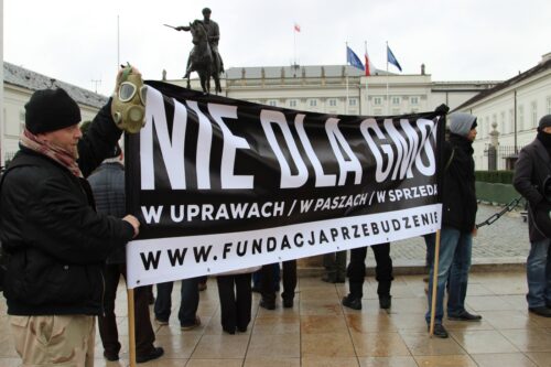 pieczarka, produkcja pieczarek, grzyby, eksport pieczarek, Magdalena Kowalewska