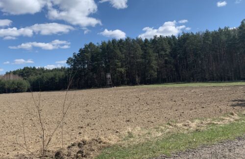 ochrona zwierząt łownych, park narodowy, otulina parku, rolnicy