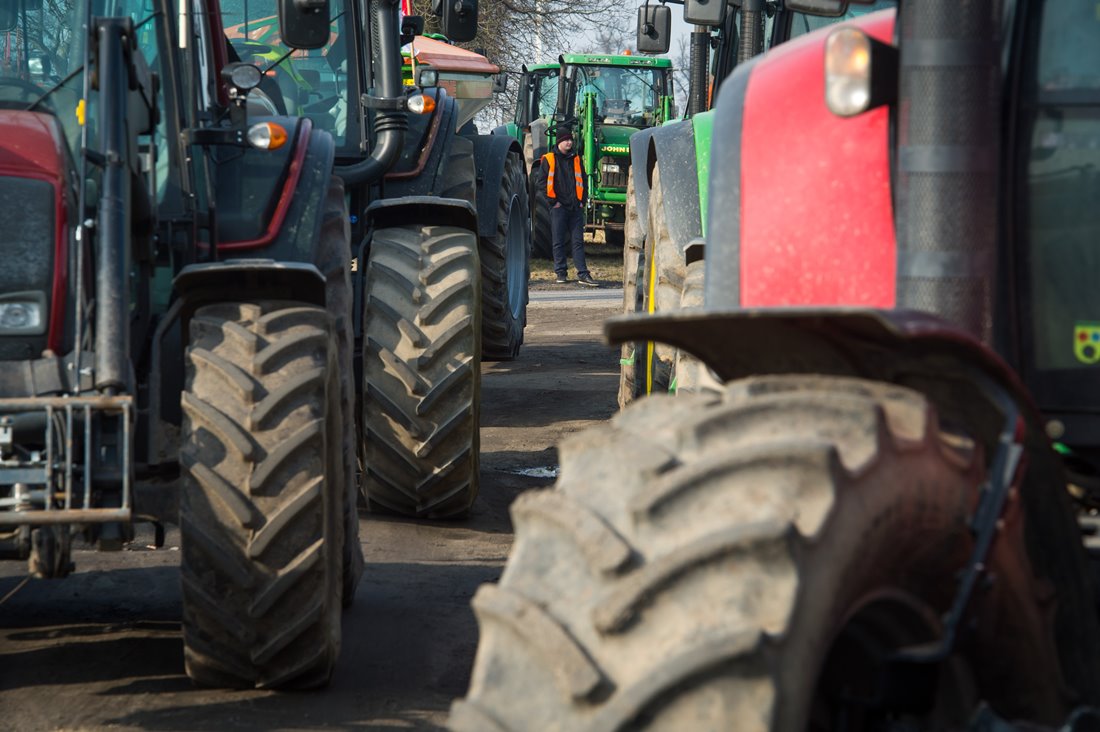 Unia Europejska, Nowy Zielony Ład, bioróżnorodność, rolnictwo, rolnicy, protest rolników, Instytut Gospodarki Rolnej