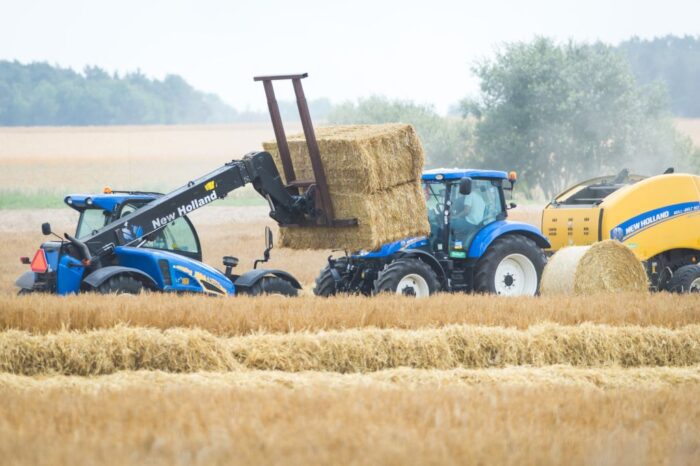narodowy bank polski, rynek pracy, wzrost zatrudnienia w rolnictwie