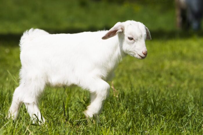 agro-park, lublin, targi rolnicze