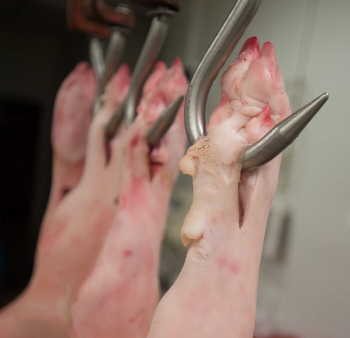 wieprzowina, wołowina, rynek mięsa, agencja rynku rolnego