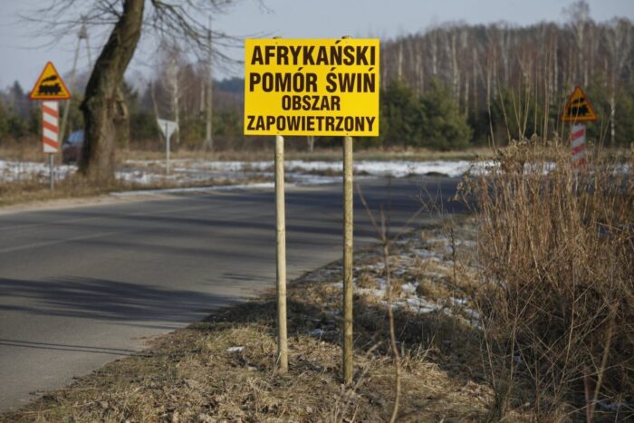 wirus ASF, ASF w Lubuskiem, ASF w woj. lubuskim