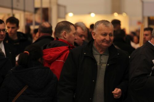 ferma bydła, ferma świń i drobiu, wystawa, hodowla