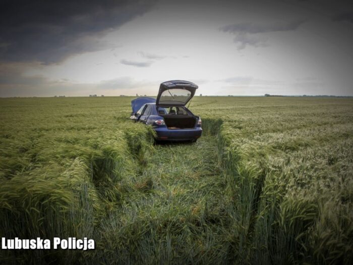 ucieczka przez pole zboża, Stare Drzewce, Maja Piwowarska, KPP Wschowa