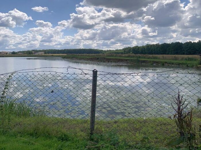 resort rolnictwa, stawy hodowlane, gospodarstwa rybackie, produkcja ryb