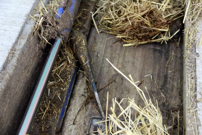 obora_stanowiskowa_suchowola