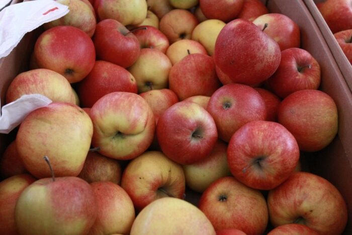 Polski Instytut Spraw Międzynarodowych, witold orłowski, rosyjskie embargo