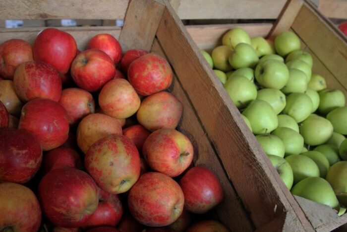 grupy producenckie, senat, Europejski Fundusz Rolny