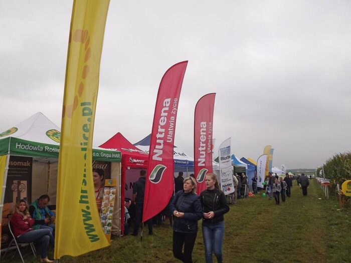 kukurydza, uprawa kukurydzy, właściwy dobór odmiany kukurydzy, Agropol, Ryki, lubelskie