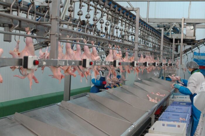 Polska jest czołowym eksporterem drobiu.