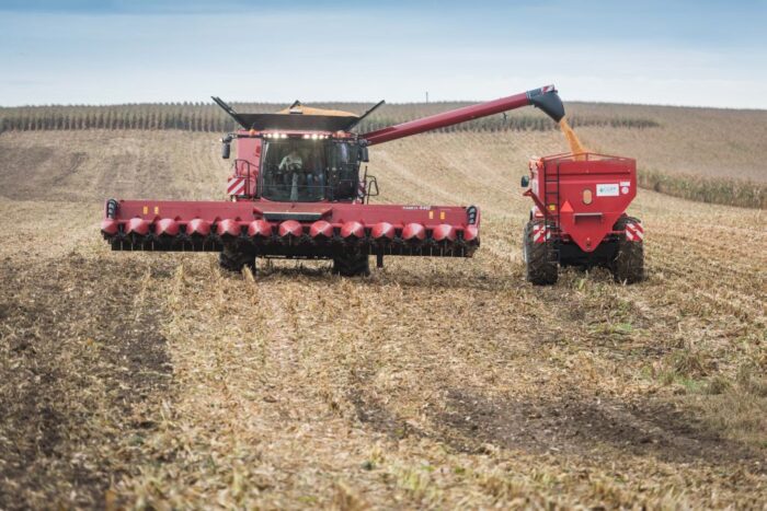 rynek zbóż, Międzynarodowa Rada Zbożowa, pszenica, kukurydza