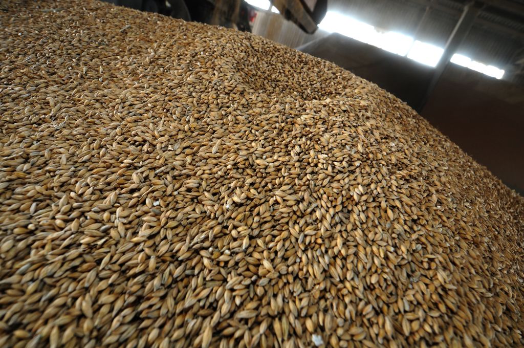 Monika Piątkowska, Izba Zbożowo-Paszowa, ceny ziarna, wojna na Ukrainie, dostawy ziarna, rynek zbóż