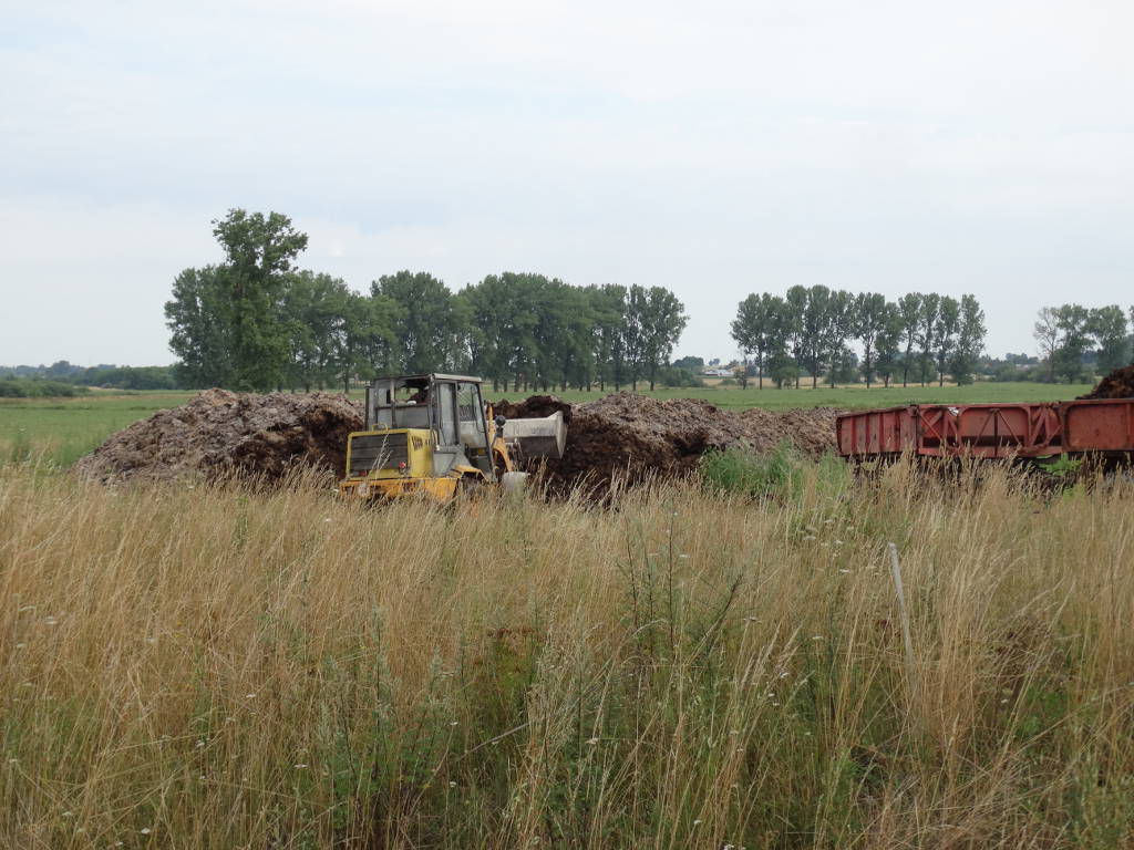 nawożenie azotem, obornik, użyźniacze gleby, dyrektywa azotanowa