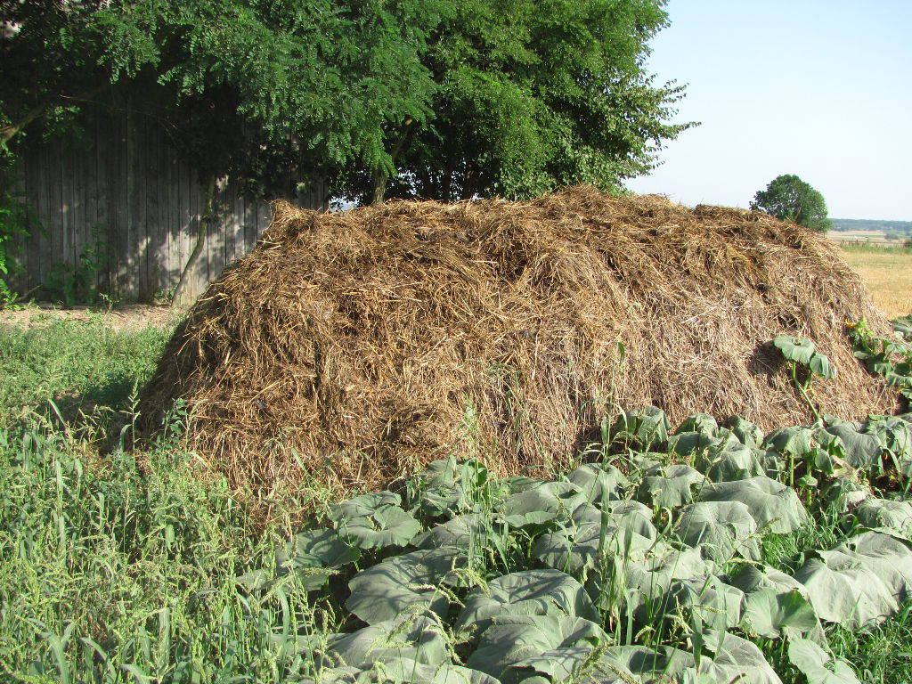 nawozy naturalne, przepisy, nowelizacja, płyty obornikowe