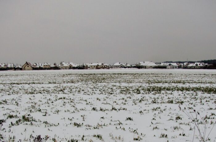 oziminy, Stanisław Kulwicki, bogdan bąk, Marek Radzimierski, Kujawsko-Pomorski Ośrodek Doradztwa Rolniczego
