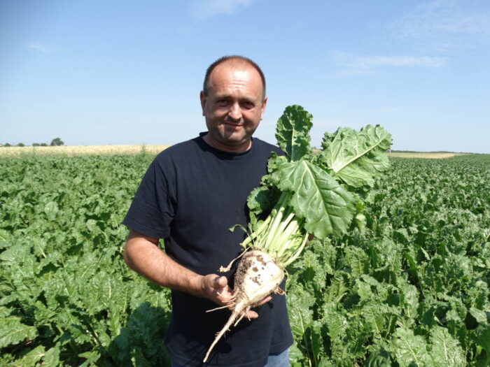 buraki, Witold Ferens, Sahryń