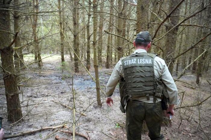 Studzianki, powiat białostocki, ścieki w lesie, Nadleśnictwo Czarna Białostocka. turze