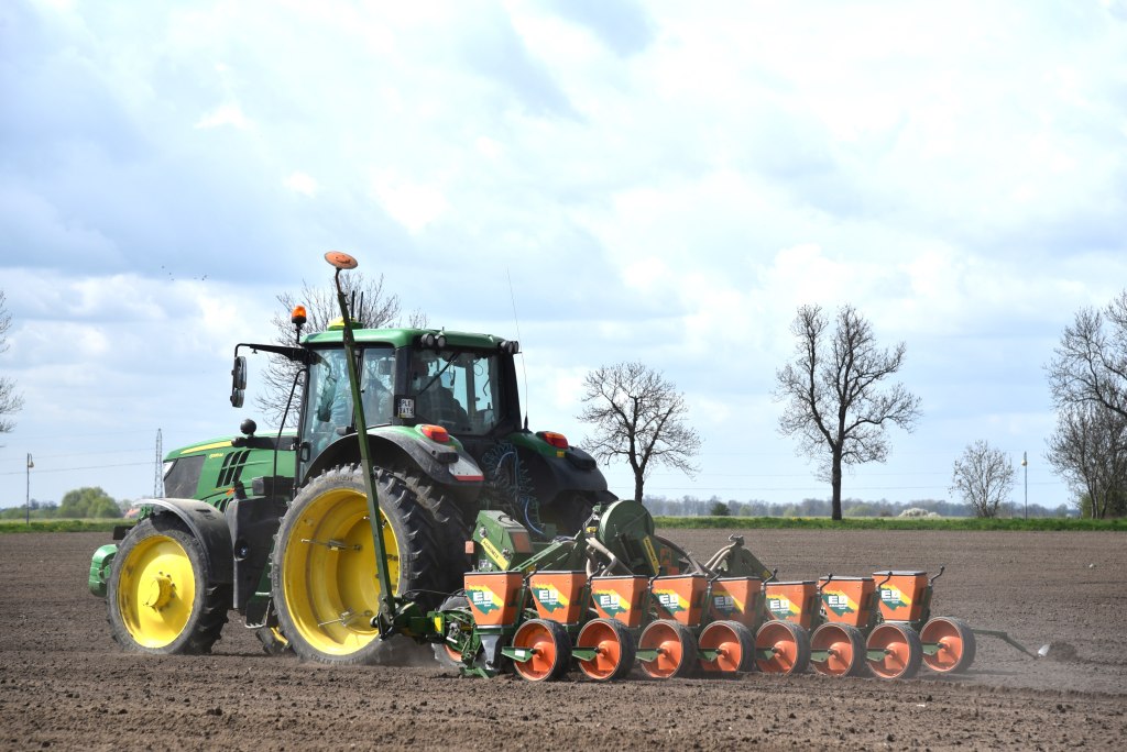 Garzyn, kukurydza, siew kukurydzy, Krajowy Dzień Kukurydzy