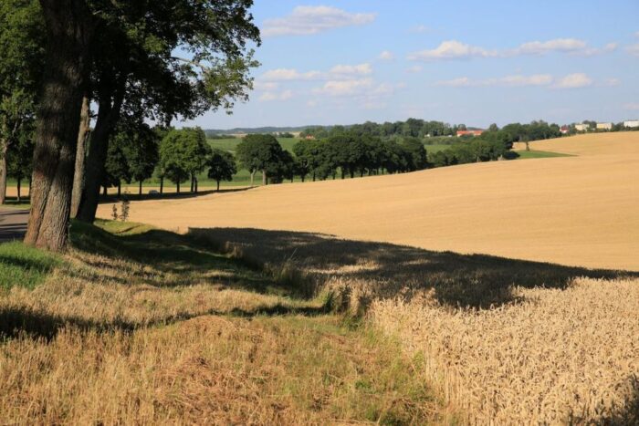 agro-park, lublin, targi rolnicze