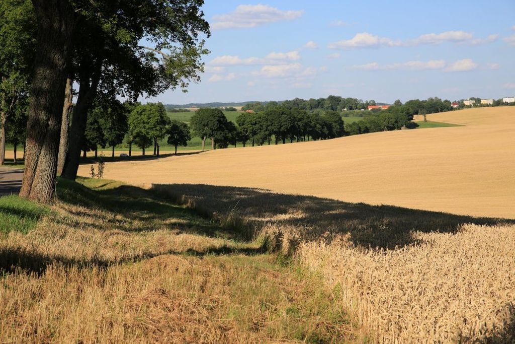 agro-park, lublin, targi rolnicze