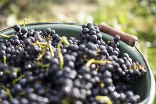 agro-park, lublin, targi rolnicze