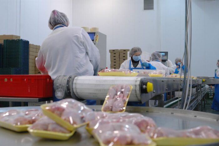 produkcja drobiu, eksport drobiu, konsumpcja drobiu