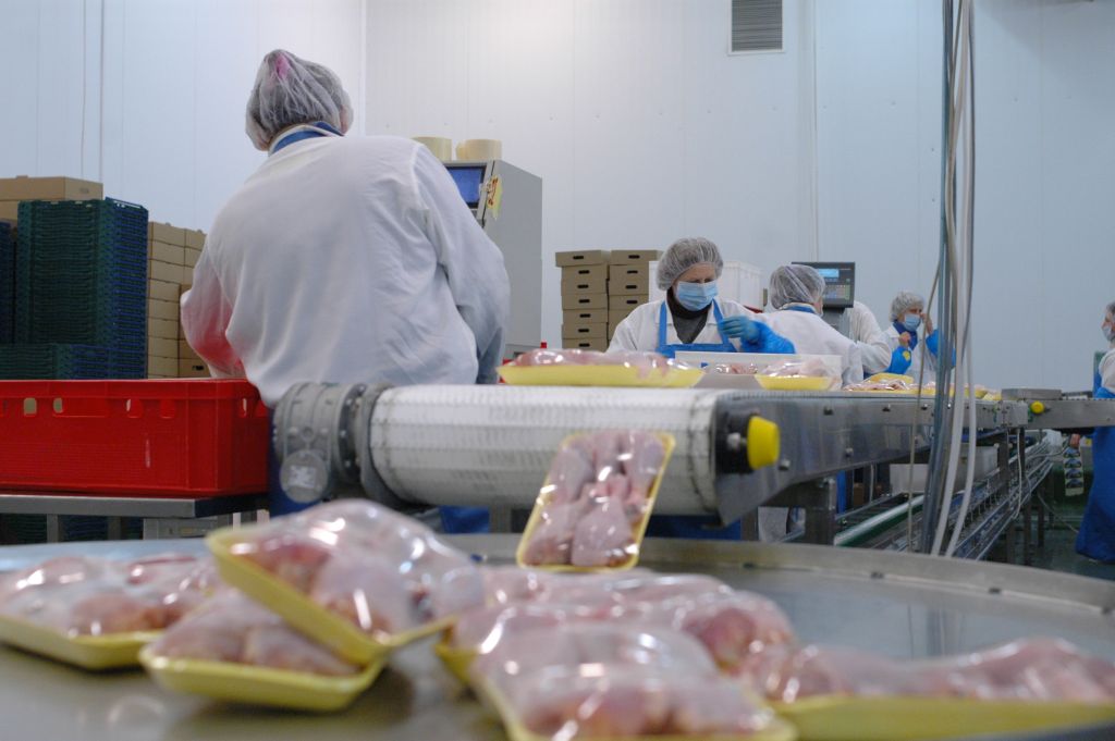 produkcja drobiu, eksport drobiu, konsumpcja drobiu