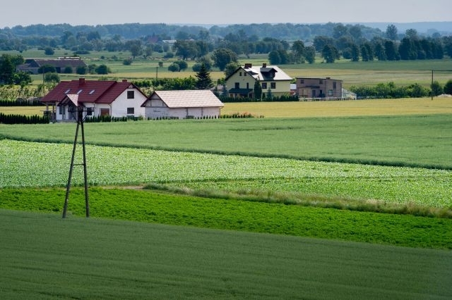 gospodarstwa rolne, powierzchnia użytków rolnych