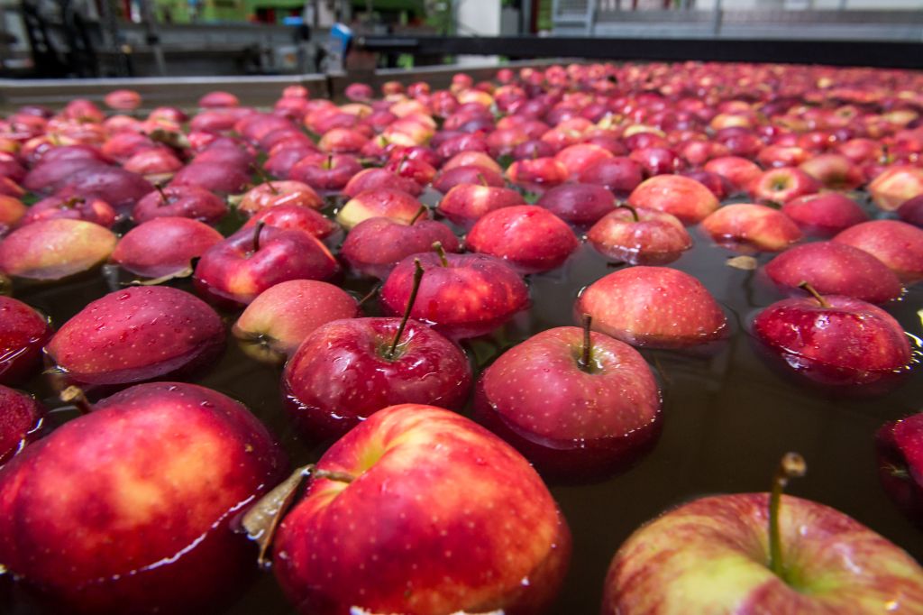 ceny jabłek, popyt na jabłka, zapasy jabłek