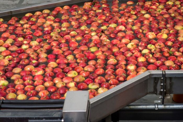 owoce, warzywa, cebula, marchew, jabłka deserowe, maliny