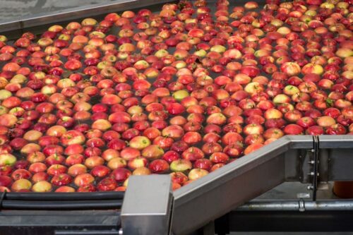 owoce, warzywa, cebula, marchew, jabłka deserowe, maliny