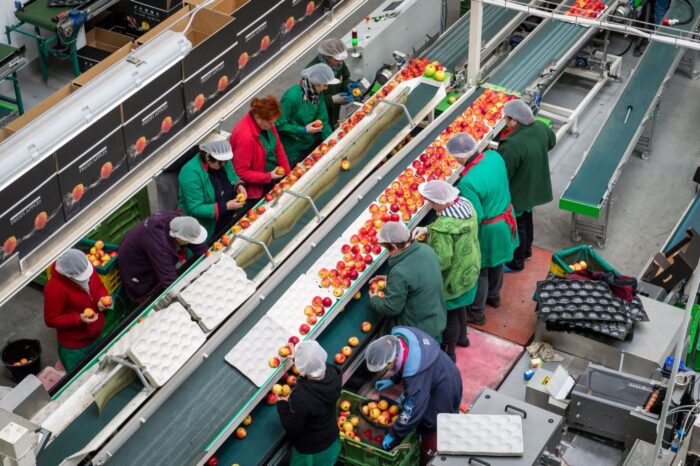 owoce, warzywa, Dariusz Winek