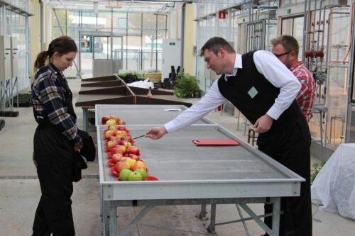 susza, susza rolnicza, ścieki, wykorzystanie wody ze ścieków